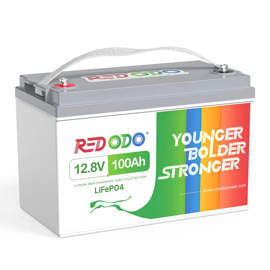 Redodo 12V 100Ah Basic - Best for a tight budget