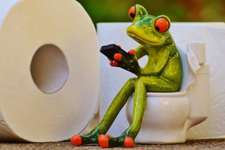 Frog using composting toilet